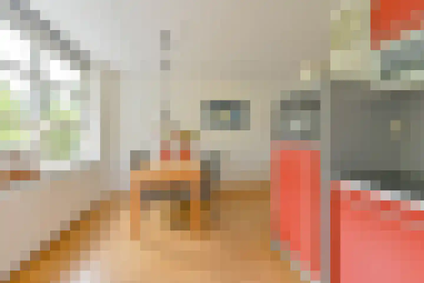 Toermalijndreef 51 Emmen thumbnail 35