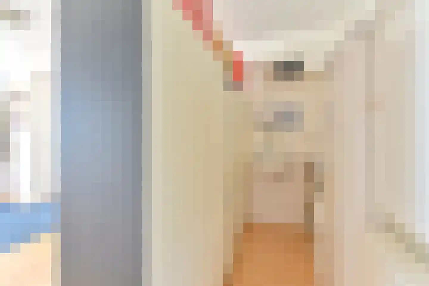 Toermalijndreef 51 Emmen thumbnail 53