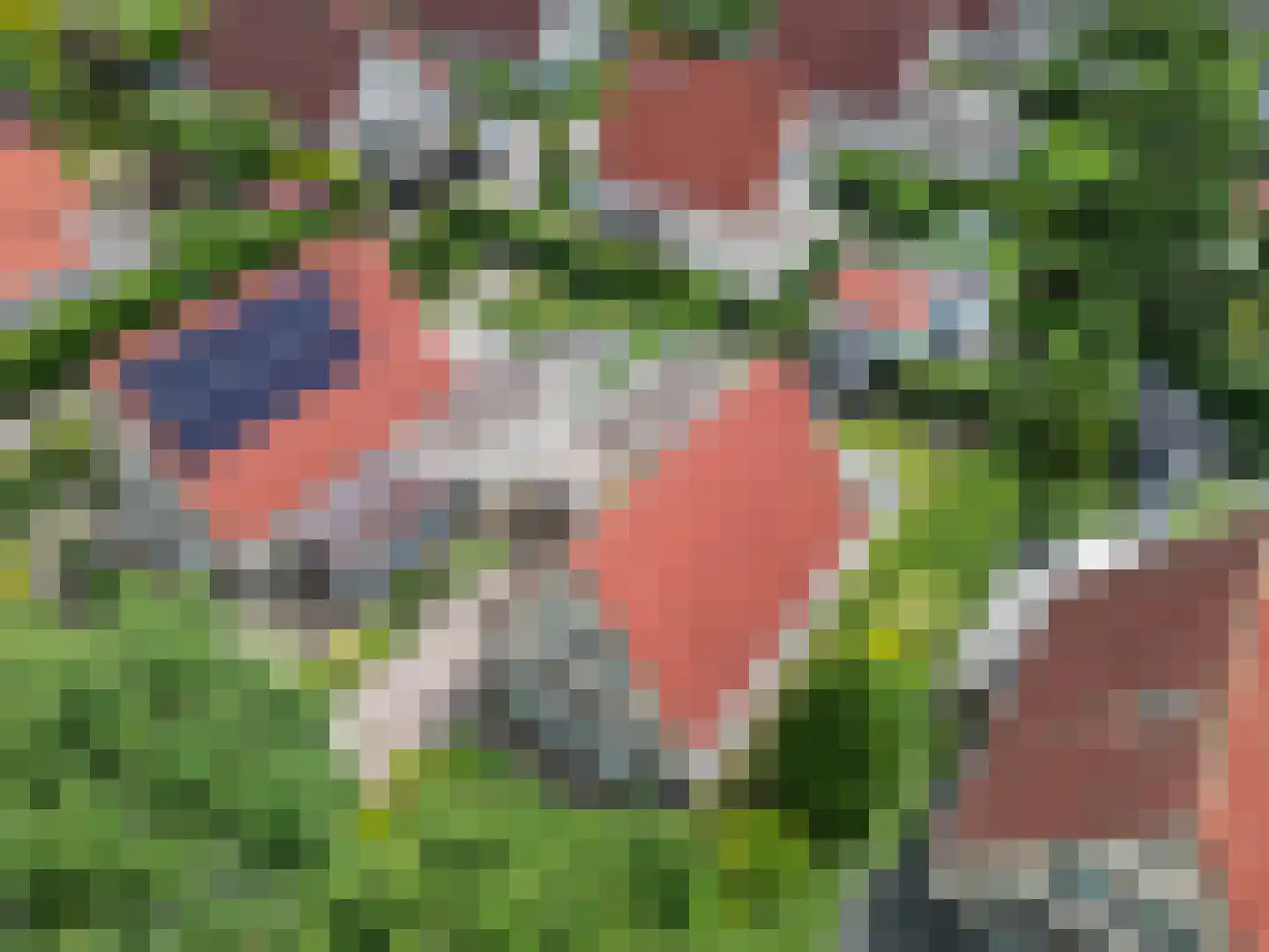 Toermalijndreef 73 Emmen thumbnail 43