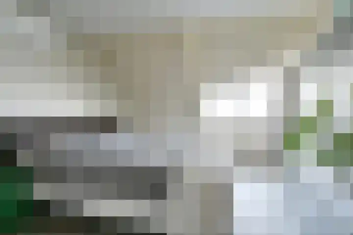 Toermalijndreef 86 Emmen thumbnail 33