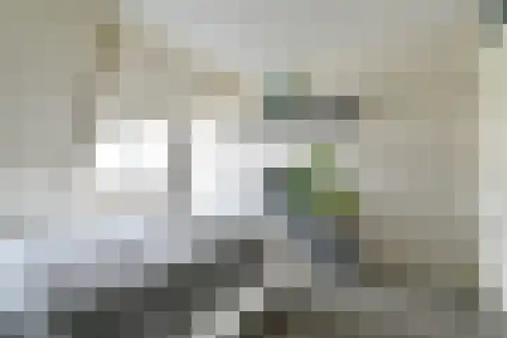 Toermalijndreef 86 Emmen thumbnail 35