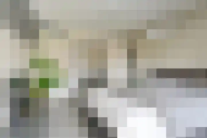 Toermalijndreef 86 Emmen thumbnail 37