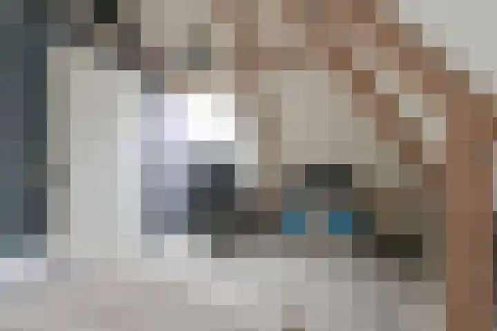 Toermalijndreef 86 Emmen thumbnail 61