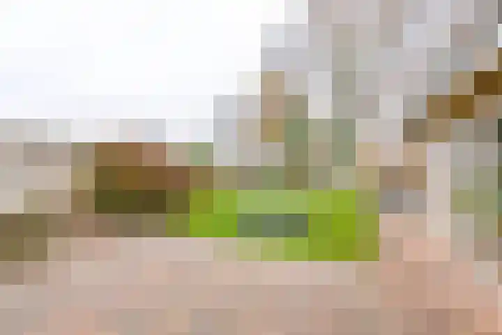 Toermalijndreef 86 Emmen thumbnail 66