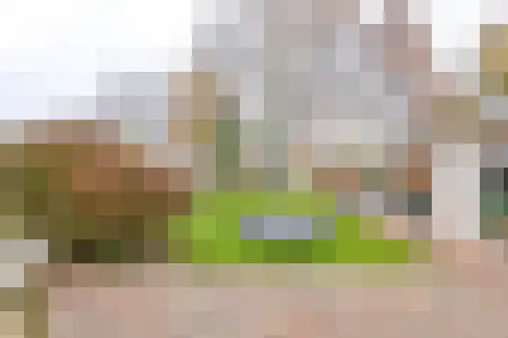 Toermalijndreef 86 Emmen thumbnail 67