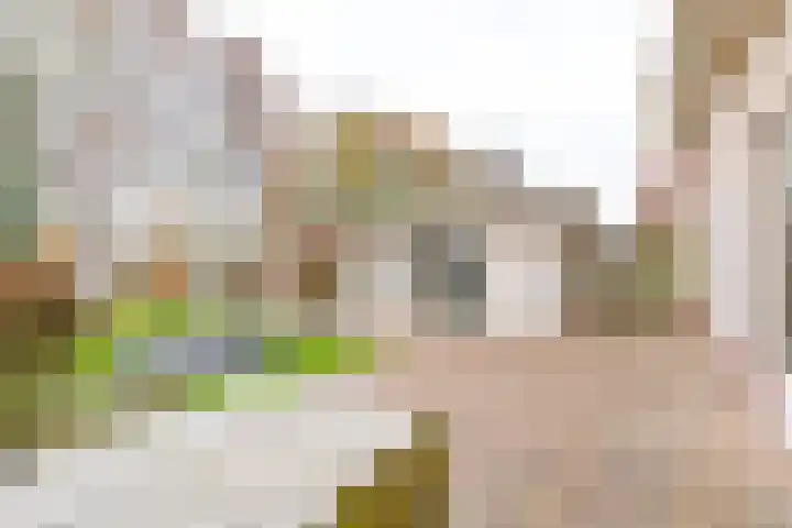 Toermalijndreef 86 Emmen thumbnail 68