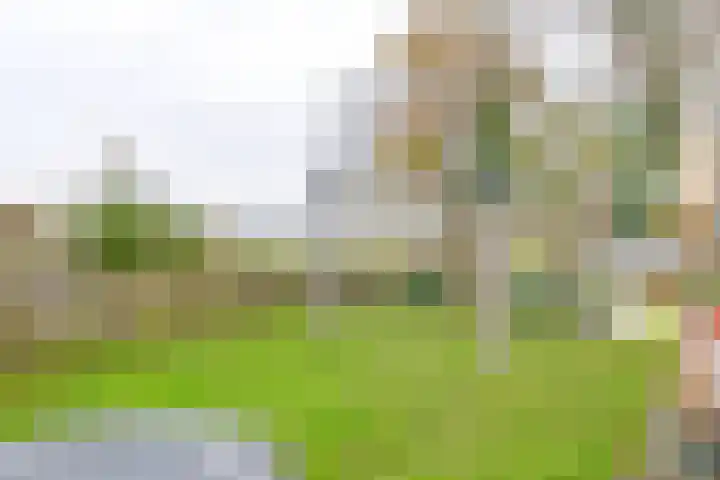 Toermalijndreef 86 Emmen thumbnail 70
