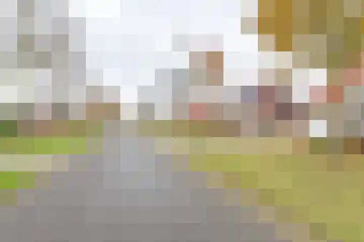Toermalijndreef 86 Emmen thumbnail 75