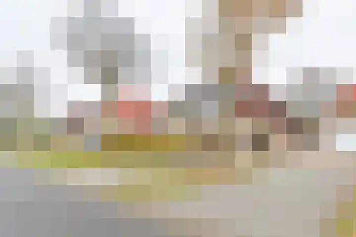 Toermalijndreef 86 Emmen thumbnail 76