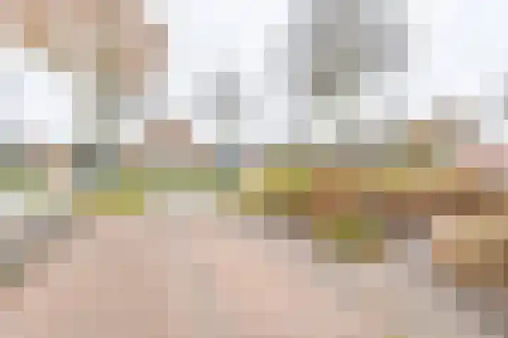 Toermalijndreef 86 Emmen thumbnail 81