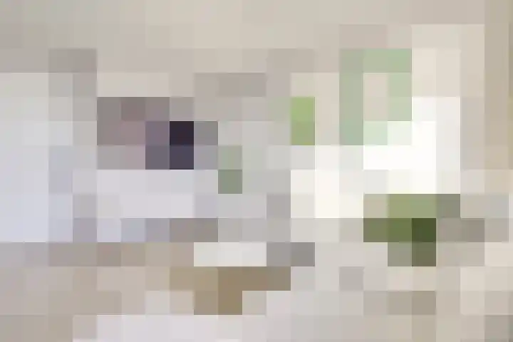 Toermalijnlaan 36 Utrecht thumbnail 13
