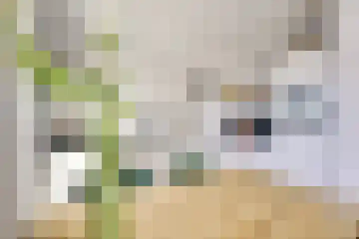 Toermalijnlaan 36 Utrecht thumbnail 14