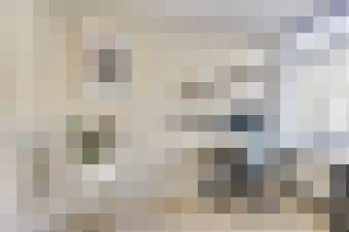 Toermalijnlaan 36 Utrecht thumbnail 27