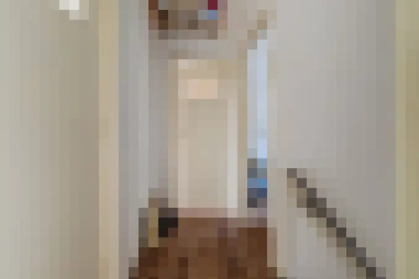 Toermalijnlaan 39 Cuijk thumbnail 19