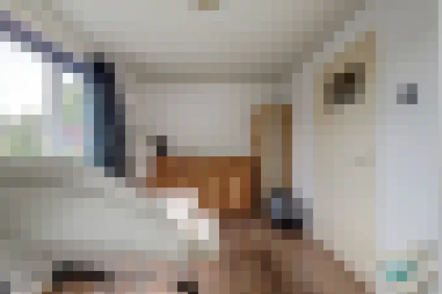 Toermalijnlaan 39 Cuijk thumbnail 25