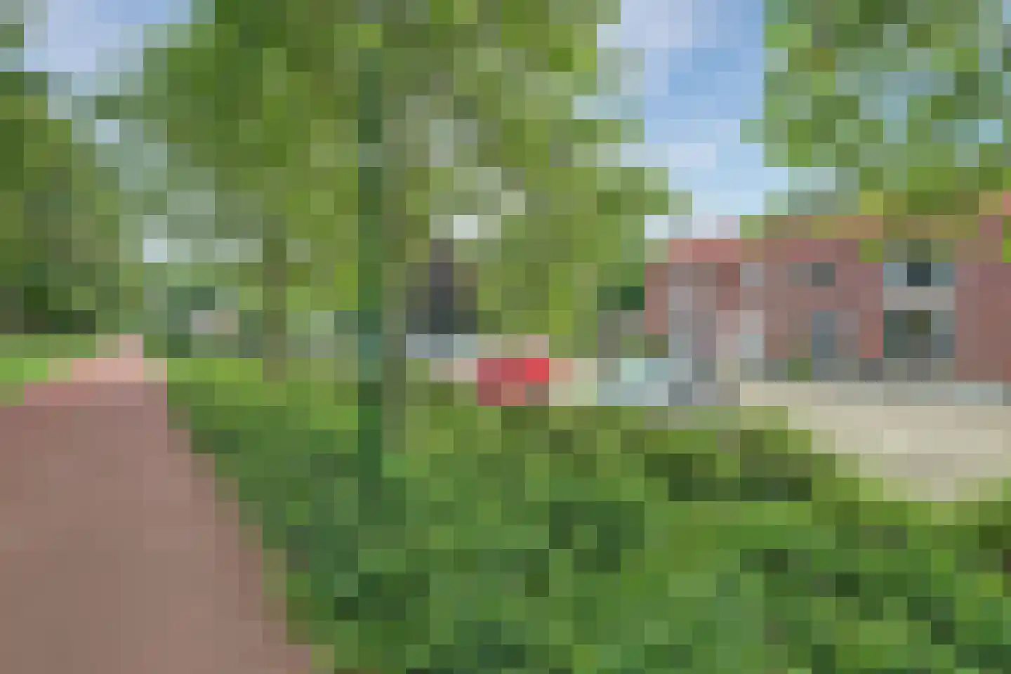 Toermalijnlaan 39 Cuijk thumbnail 43
