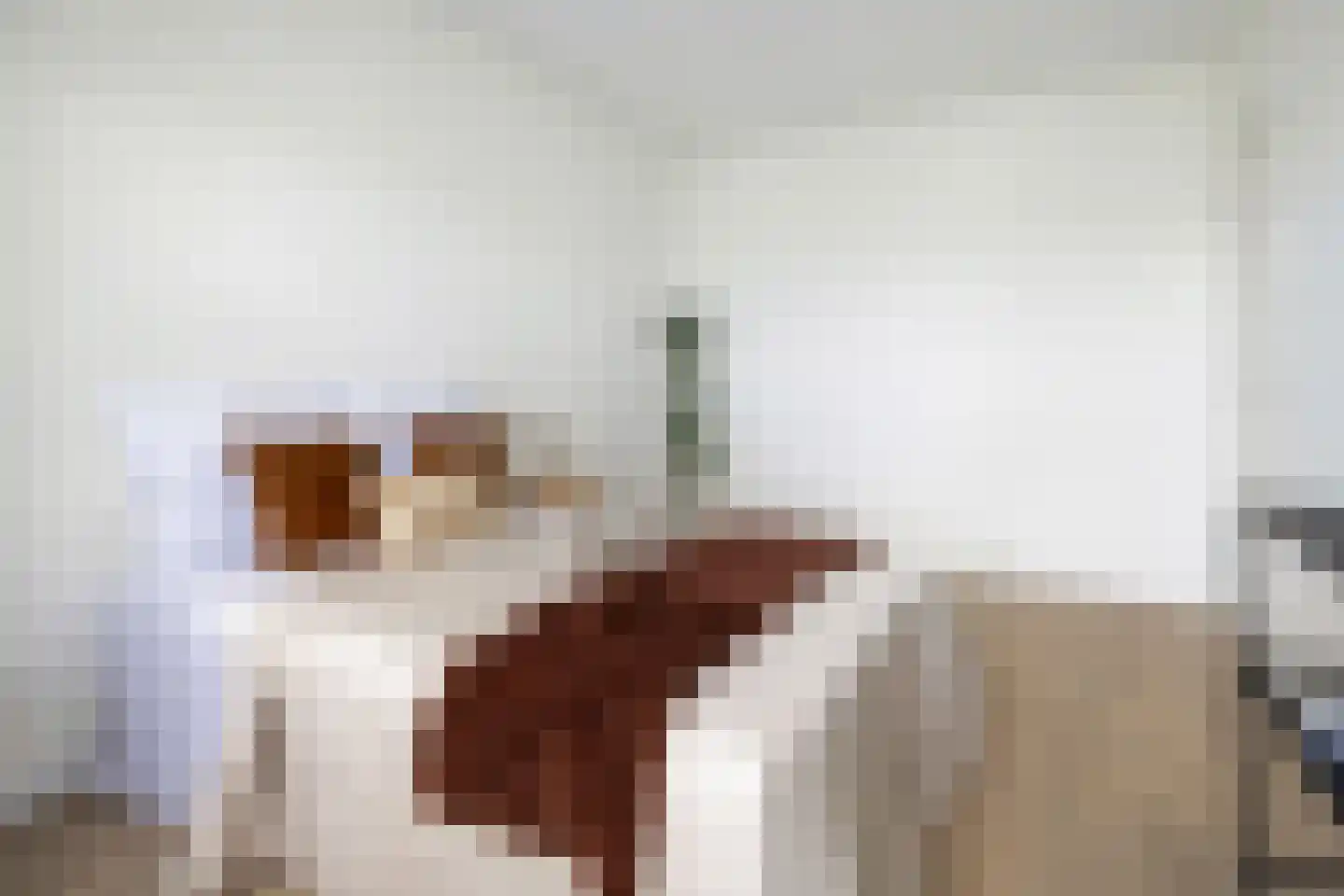 Toermalijnlaan 62 Utrecht thumbnail 12