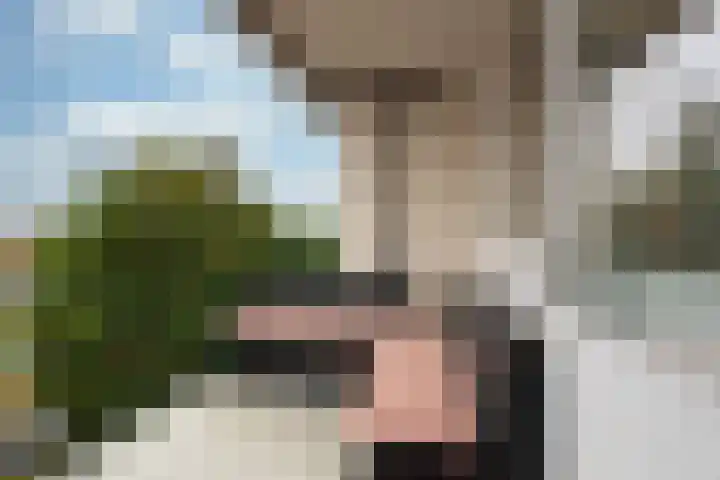 Toermalijnlaan 79 Utrecht thumbnail 12