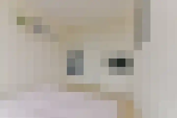Toermalijnlaan 79 Utrecht thumbnail 18