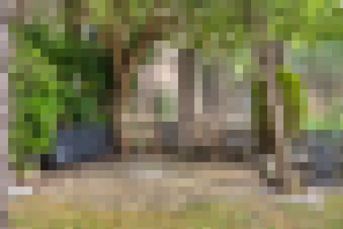 Toermalijnsingel 41 Terneuzen thumbnail 19