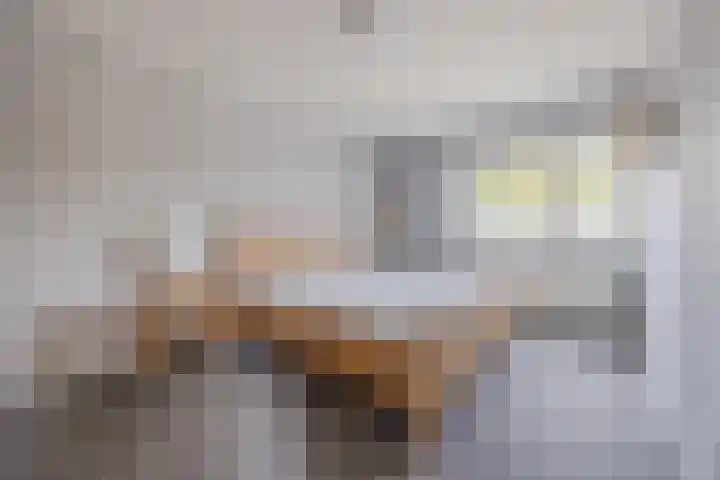 Toermalijnsingel 9 Terneuzen thumbnail 20