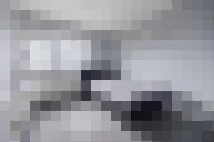 Toermalijnsingel 9 Terneuzen thumbnail 22