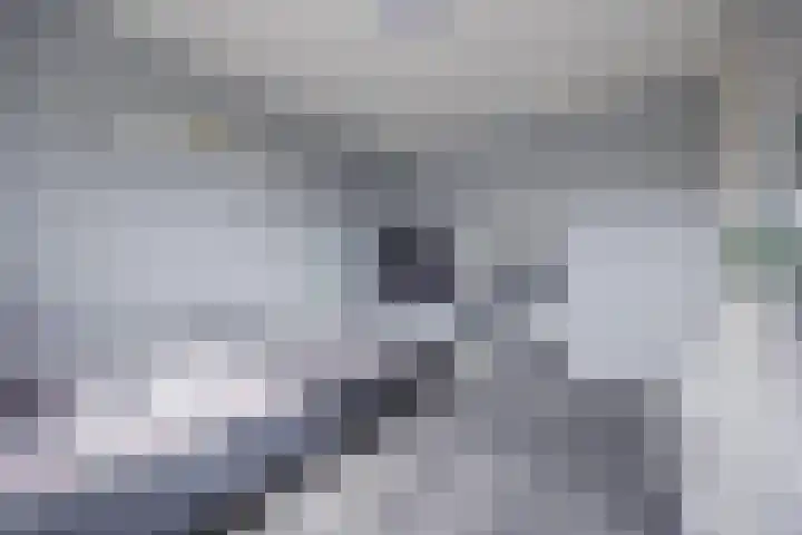 Toermalijnsingel 9 Terneuzen thumbnail 23