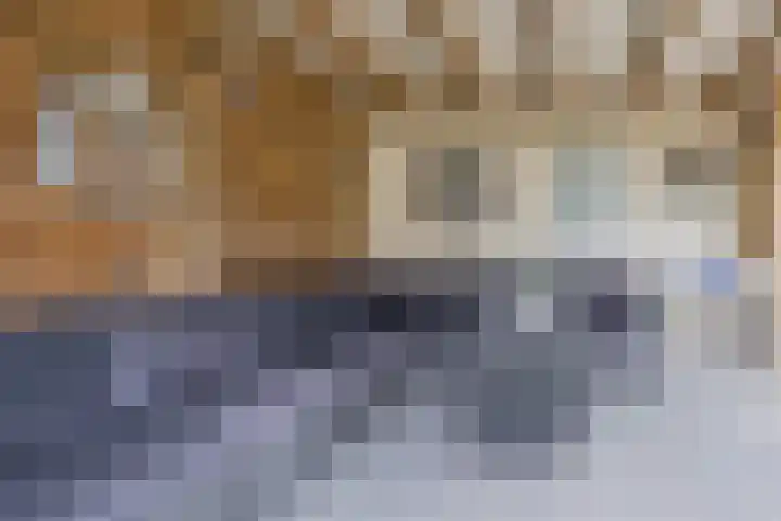 Toermalijnsingel 9 Terneuzen thumbnail 35