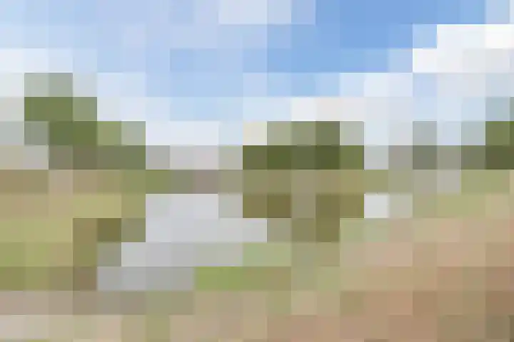 Toermalijnsingel 9 Terneuzen thumbnail 4