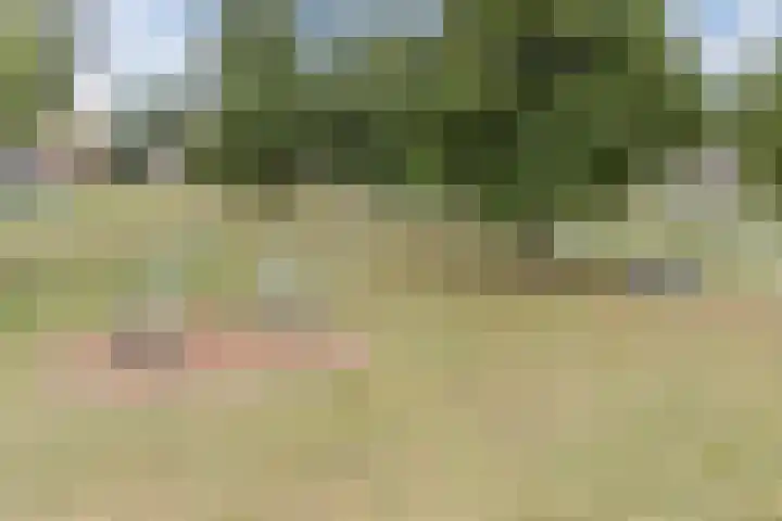 Toermalijnsingel 9 Terneuzen thumbnail 40
