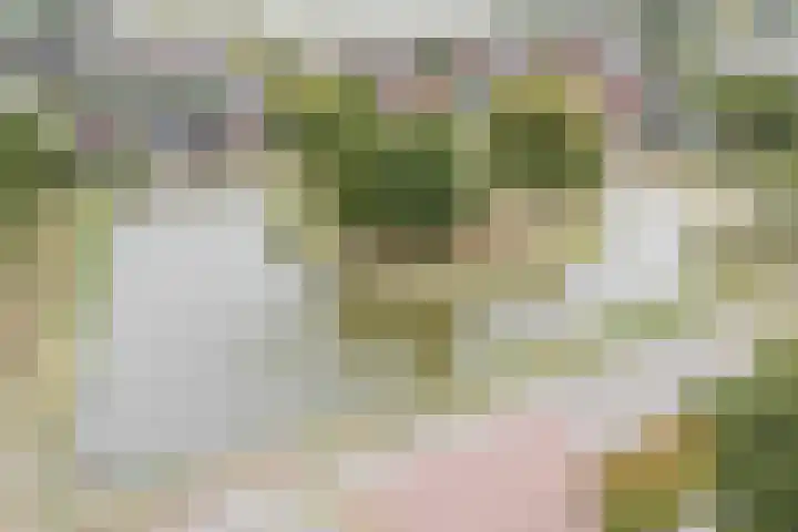 Toermalijnsingel 9 Terneuzen thumbnail 41