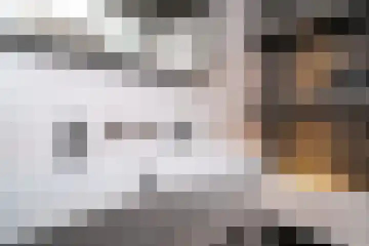 Toernooistraat 36 Rotterdam thumbnail 19