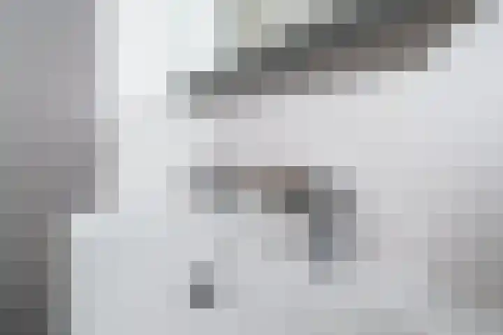 Toernooistraat 36 Rotterdam thumbnail 20