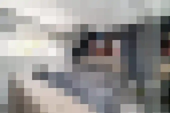 Toernooistraat 36 Rotterdam thumbnail 22
