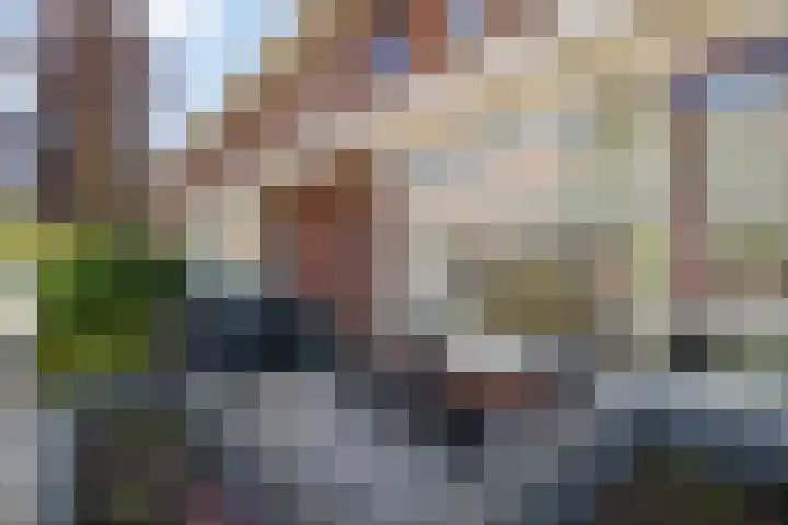Toernooistraat 36 Rotterdam thumbnail 29