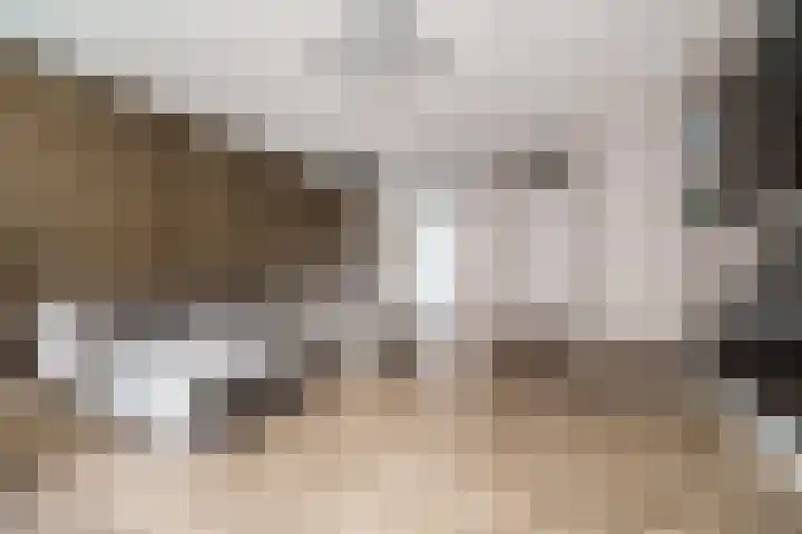 Toernooistraat 36 Rotterdam thumbnail 6