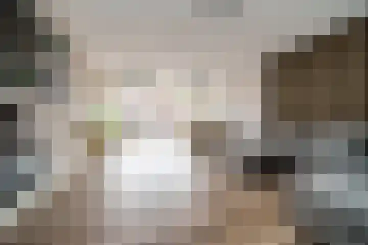 Toernooistraat 36 Rotterdam thumbnail 7