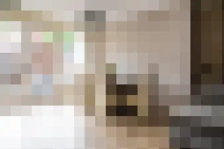 Toernooistraat 36 Rotterdam thumbnail 9