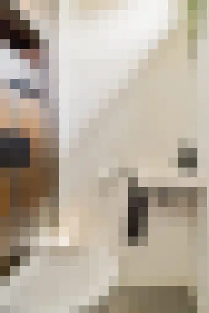 Toernooistraat 5 Purmerend thumbnail 24