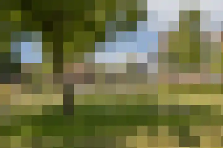 Toernooistraat 5 Purmerend thumbnail 30