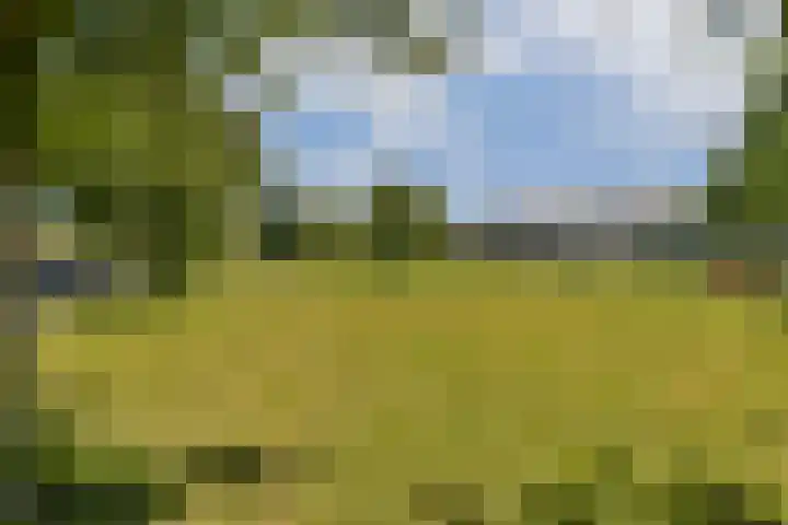 Toernooistraat 5 Purmerend thumbnail 31