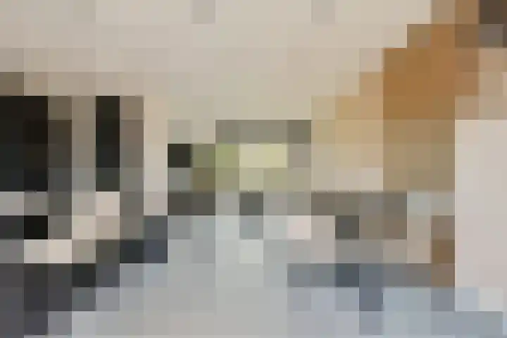 Toernooistraat 5 Purmerend thumbnail 6