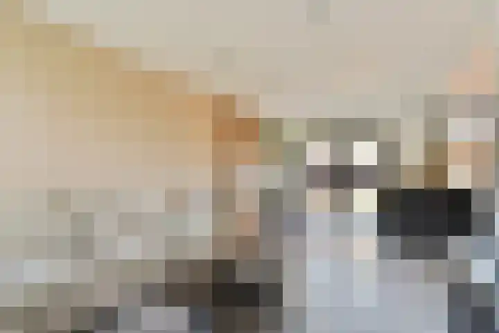 Toernooistraat 5 Purmerend thumbnail 8