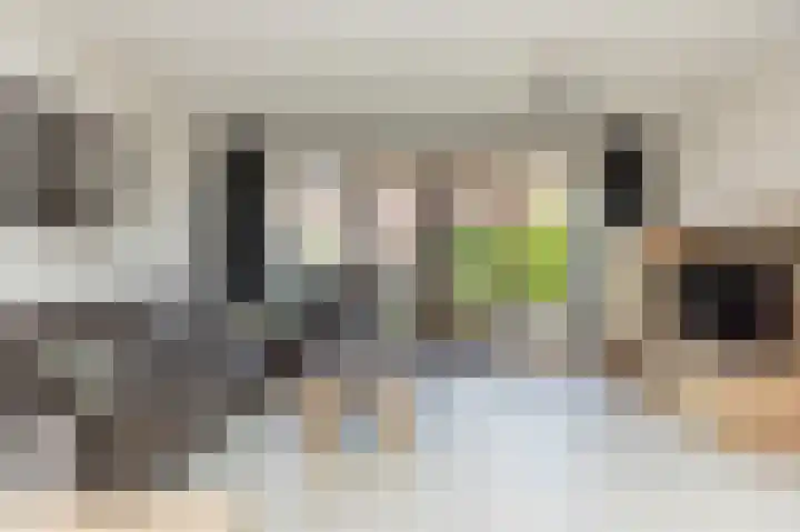 Toernooistraat 5 Rotterdam thumbnail 10