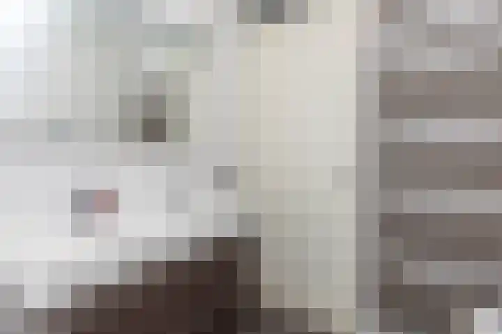 Toernooistraat 5 Rotterdam thumbnail 23