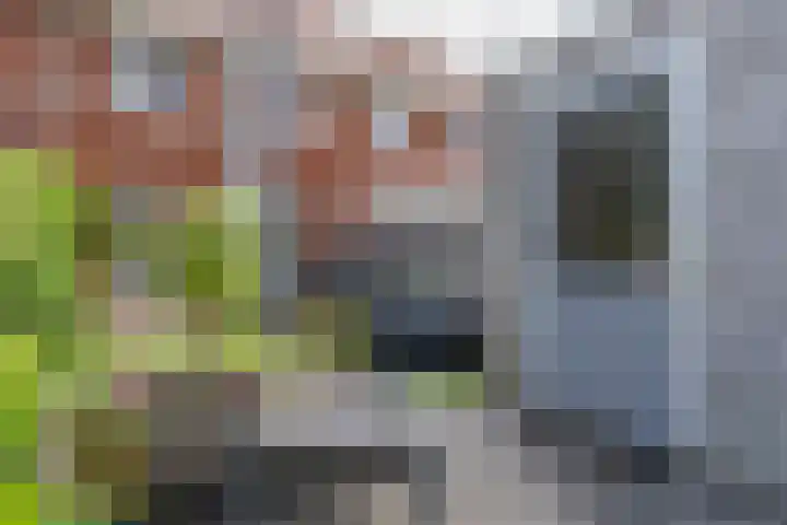 Toernooistraat 5 Rotterdam thumbnail 32