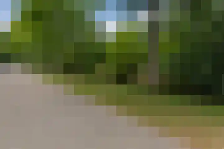 Toernooistraat 5 Rotterdam thumbnail 41