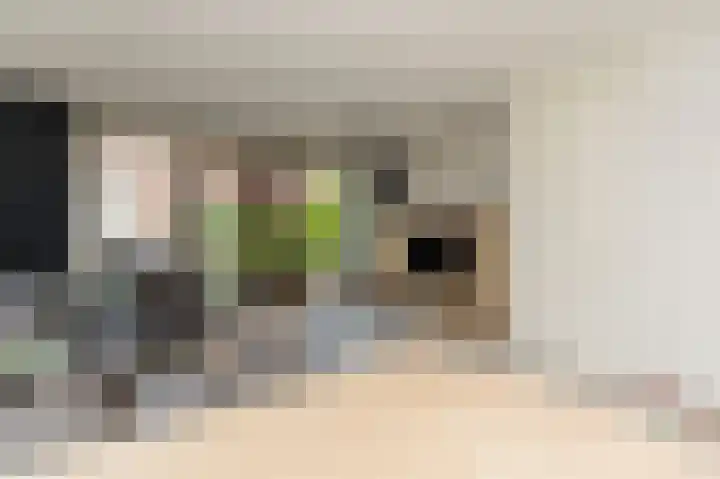 Toernooistraat 5 Rotterdam thumbnail 8