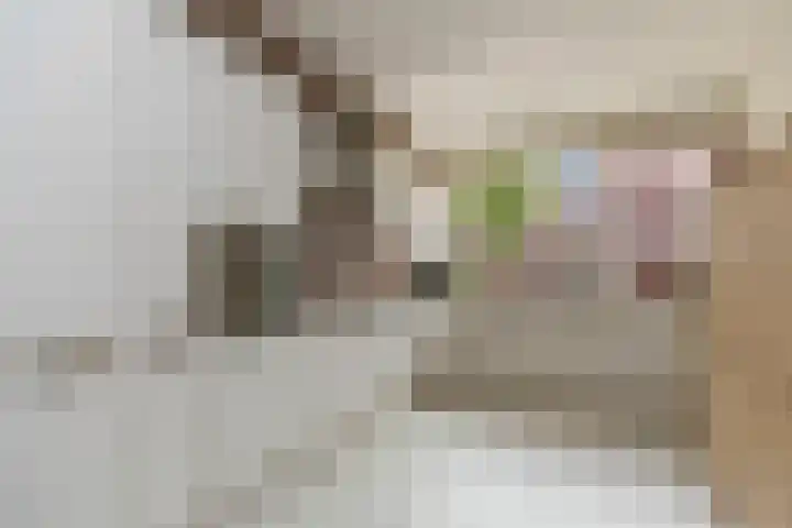 Toernooistraat 5 Rotterdam thumbnail 9
