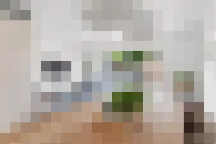 Toernooiveld 102 Almere thumbnail 10